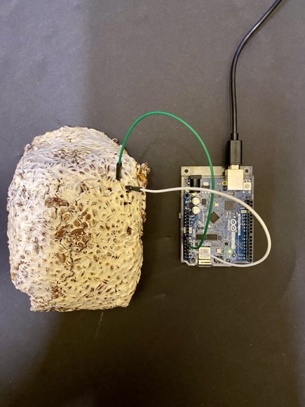 Russell Ladson's Mushroom Capacitor