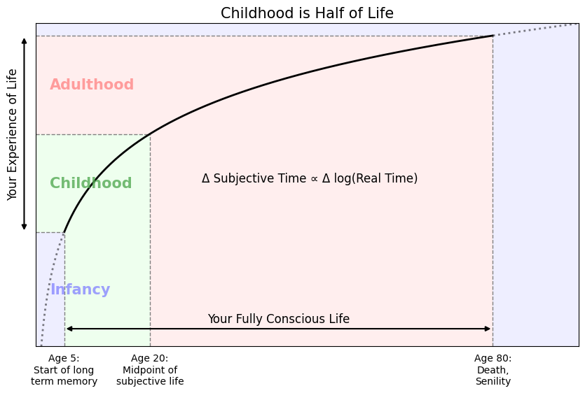 A graph showing the logarithmic experience of perceptual time plotted against linear time.